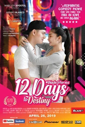 12 Days to Destiny official poster